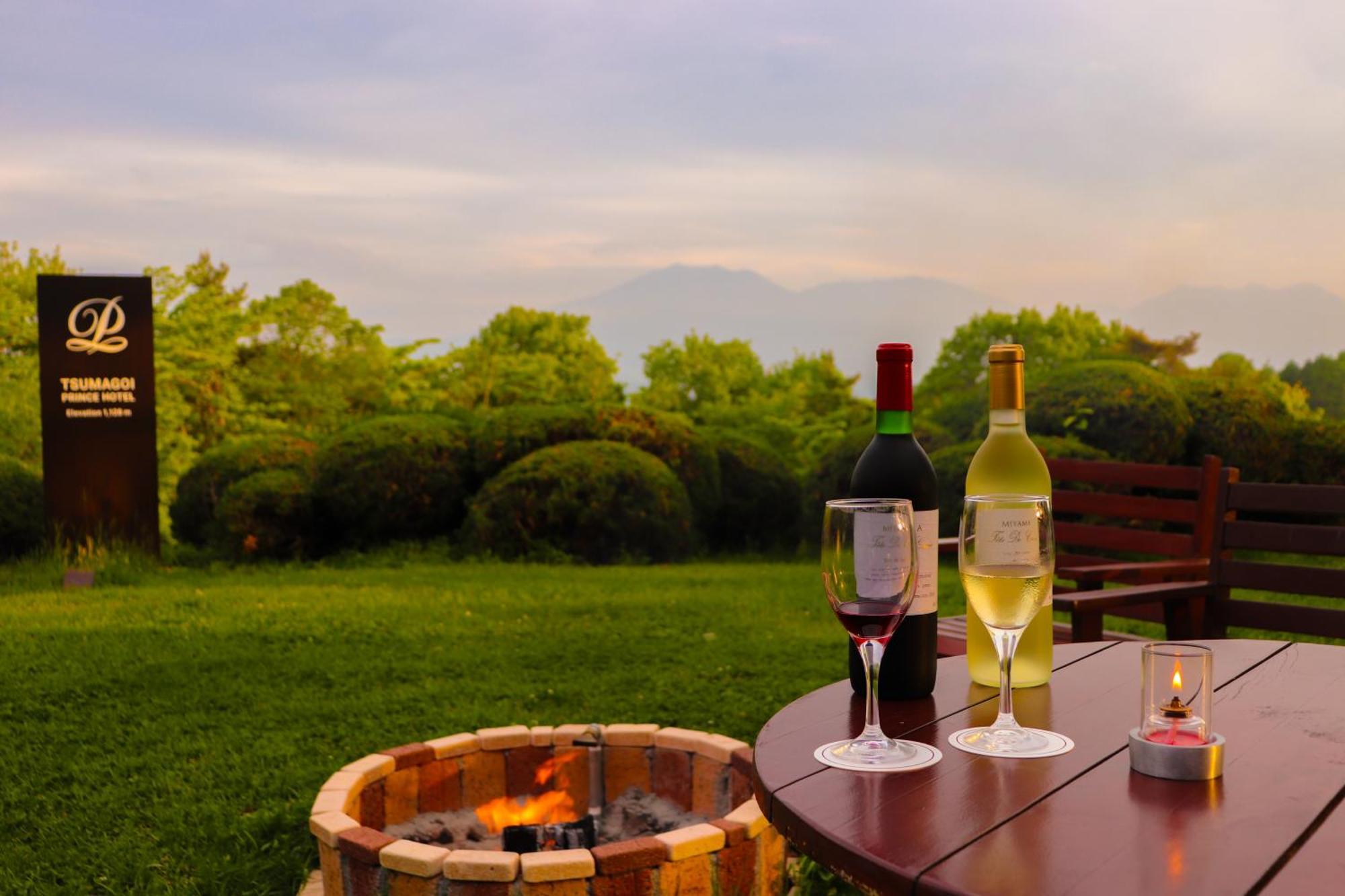 Tsumagoi Prince Hotel Hotel 4*